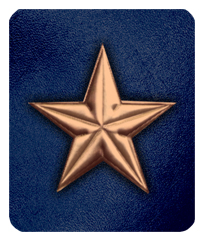 DF35-430-BZ-BL Star Bronze-Blue